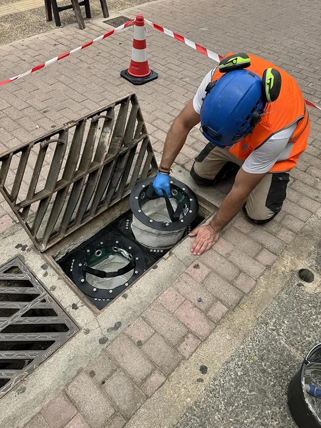 Kalathi ID_O Agia Paraskevi 1 Bioterramar