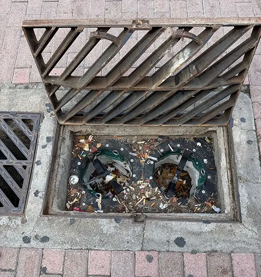 Kalathi ID_O Agia Paraskevi 4 Bioterramar