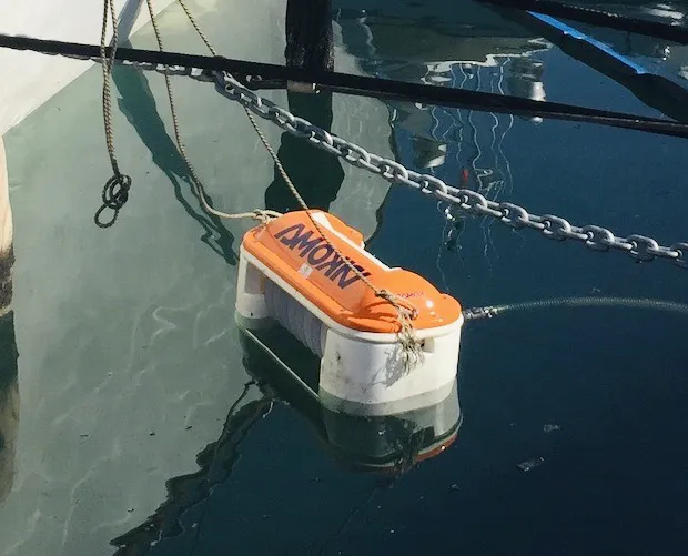 Skimmer_Bioterramar